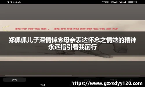 郑佩佩儿子深情悼念母亲表达怀念之情她的精神永远指引着我前行