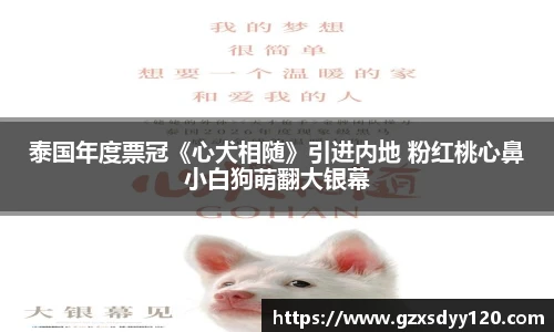 泰国年度票冠《心犬相随》引进内地 粉红桃心鼻小白狗萌翻大银幕