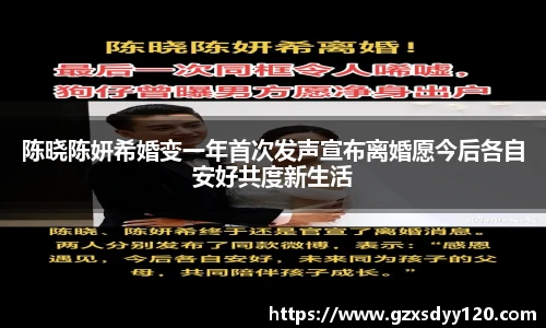 陈晓陈妍希婚变一年首次发声宣布离婚愿今后各自安好共度新生活