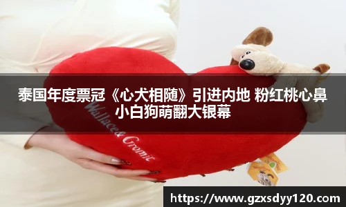 泰国年度票冠《心犬相随》引进内地 粉红桃心鼻小白狗萌翻大银幕